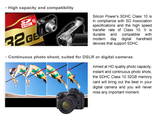 Silicon Power - Class 10 SDHC Memory Cards